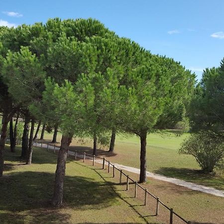 Vert Paradis - Vue Apaisante Sur Golf, Pins Parasols, 2E Etage - 80 M2 Dont Terrasse Avec Pergola, 2 Chambres, 3Et Iles, 3 Clim, Wifi - Piscine, Parking Et Park A Velos, Ascenseur - En Option Linge, Menage - Pistes Cyclables, Mer A Proximite Saint-Cyprien  Extérieur photo