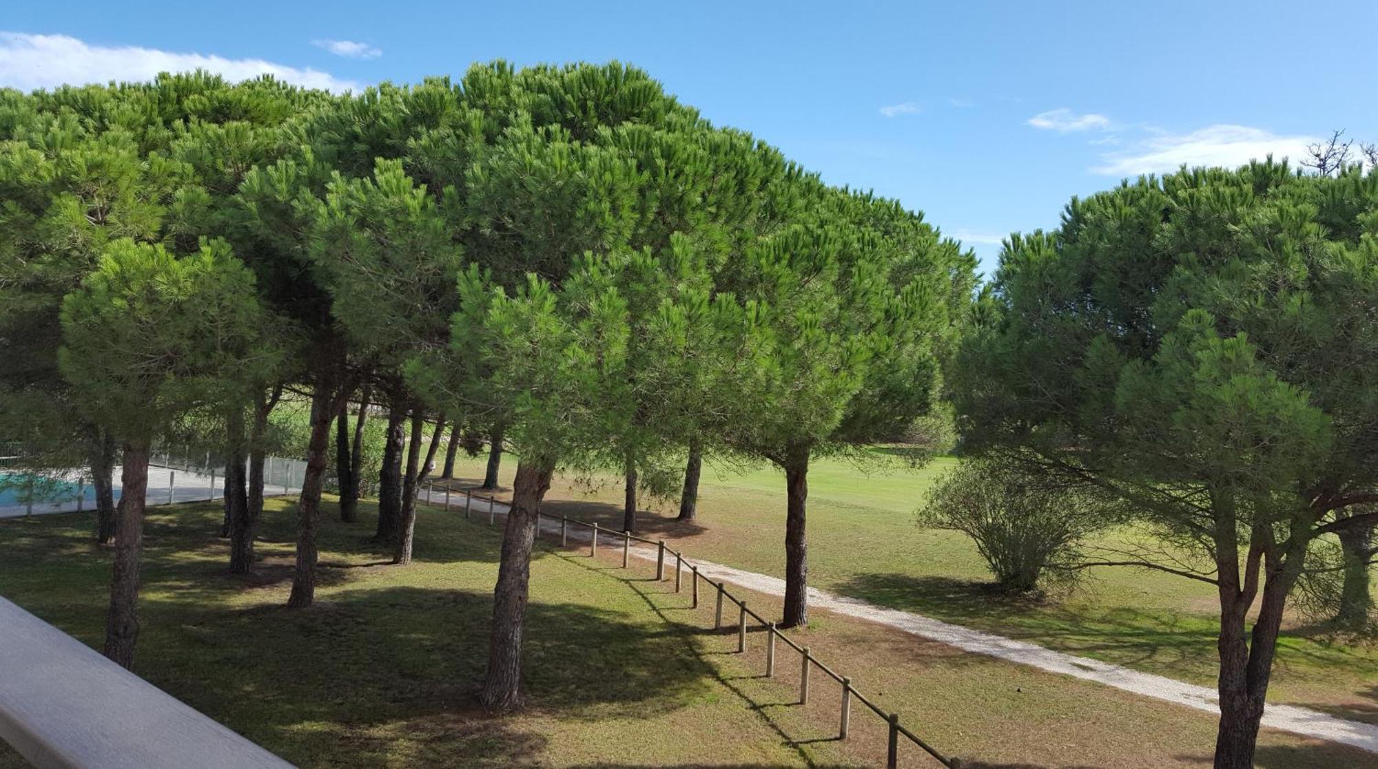 Vert Paradis - Vue Apaisante Sur Golf, Pins Parasols, 2E Etage - 80 M2 Dont Terrasse Avec Pergola, 2 Chambres, 3Et Iles, 3 Clim, Wifi - Piscine, Parking Et Park A Velos, Ascenseur - En Option Linge, Menage - Pistes Cyclables, Mer A Proximite Saint-Cyprien  Extérieur photo
