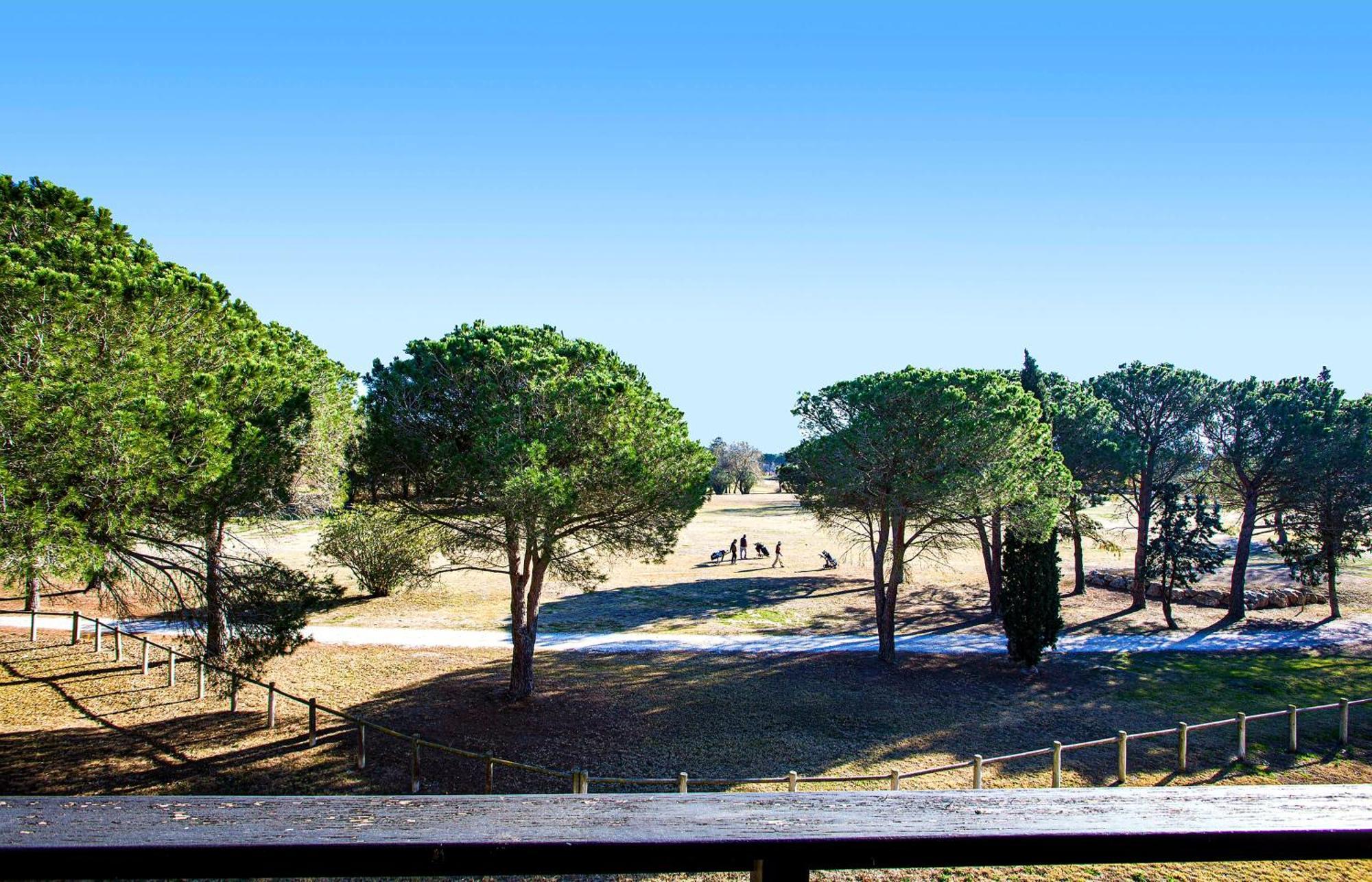 Vert Paradis - Vue Apaisante Sur Golf, Pins Parasols, 2E Etage - 80 M2 Dont Terrasse Avec Pergola, 2 Chambres, 3Et Iles, 3 Clim, Wifi - Piscine, Parking Et Park A Velos, Ascenseur - En Option Linge, Menage - Pistes Cyclables, Mer A Proximite Saint-Cyprien  Extérieur photo